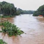 കാളകൂടപ്പുഴയിലെ കൂലിപ്പണിക്കാരന്റെ ജോയിയല്ലാത്ത ജീവിതം